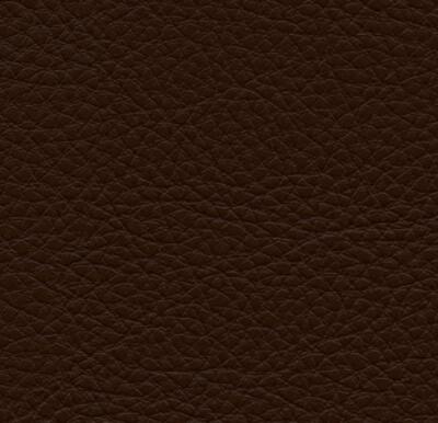 Symphony Classic Hazelnut